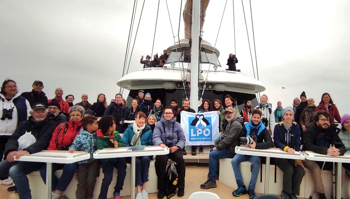 De belles observations pour notre sortie régionale dédiée aux oiseaux marins
